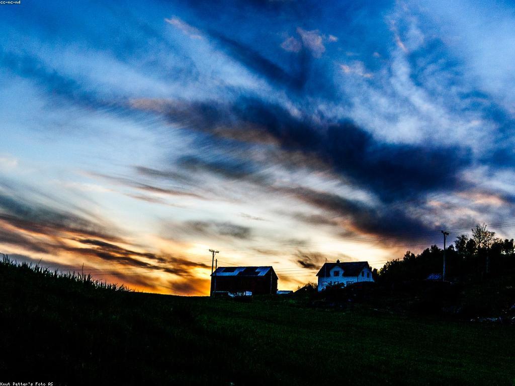 ការបង្ហាញគេហទំព័រ: ជំពូកសំខាន់សម្រាប់អ្នកបង្កើតខ្លឹមសារ